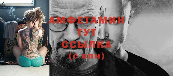 гидра Рославль