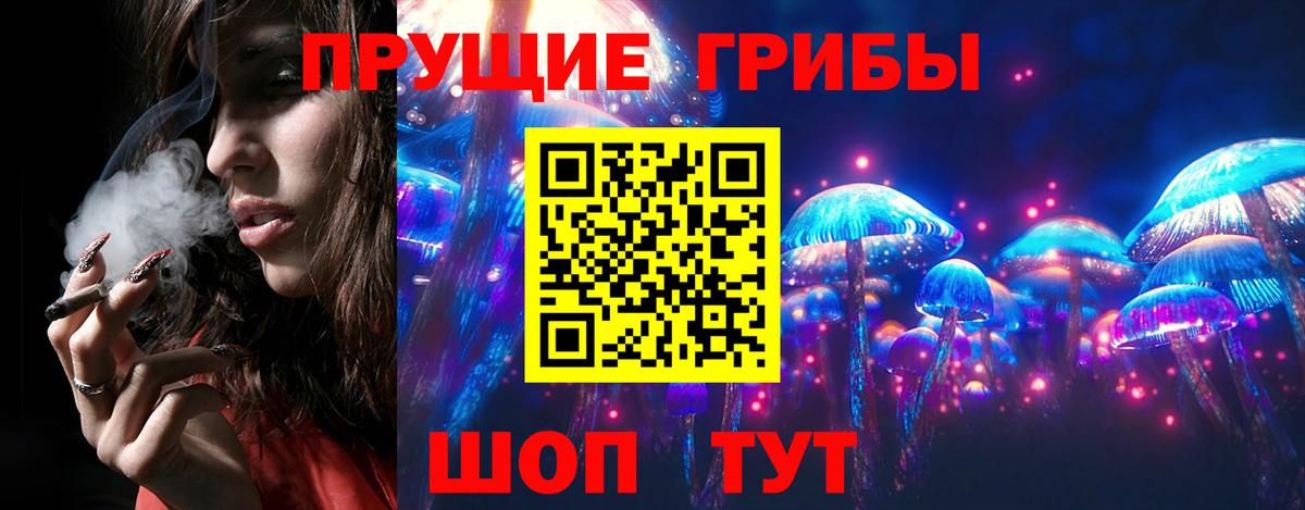 Галлюциногенные грибы Psilocybe Абинск